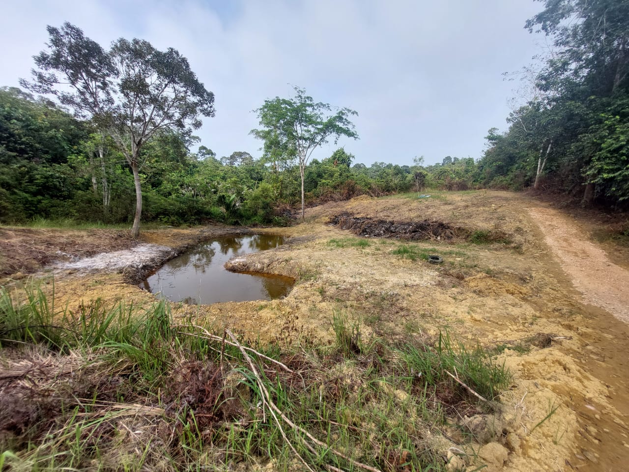 Tanah Pertanian Raub Pahang